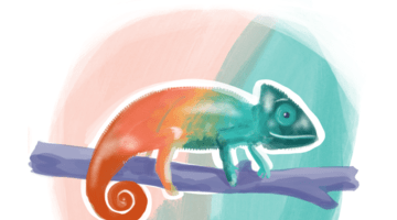 Chameleon Chameleon