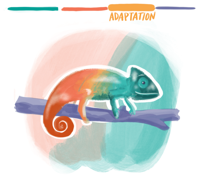 Chameleon Chameleon