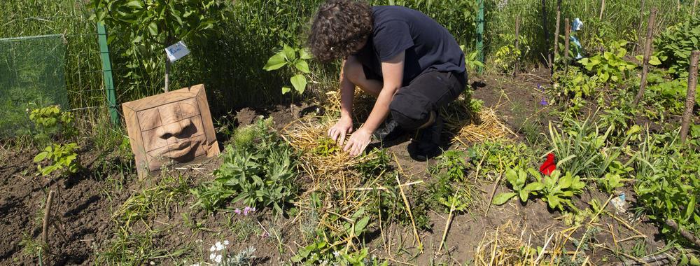 Man working in a urban garden