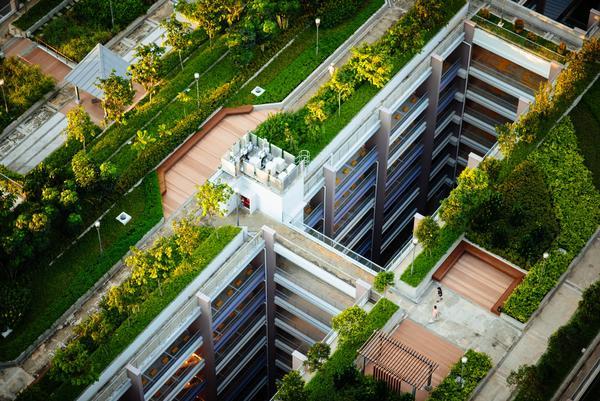 Green roofs Green roofs