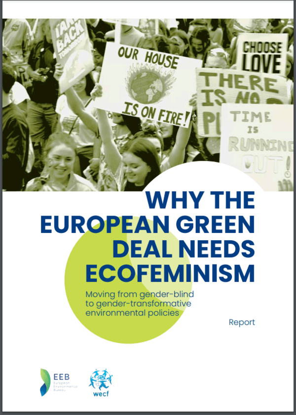 Screeshot of the report