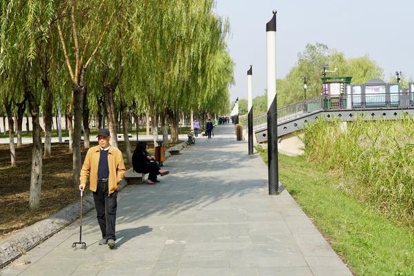 Park with wide accessible paths