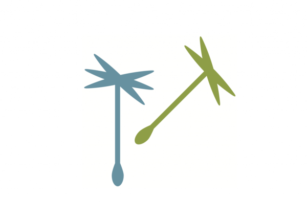 Dandelion stalks floating off Economy for the Common Good